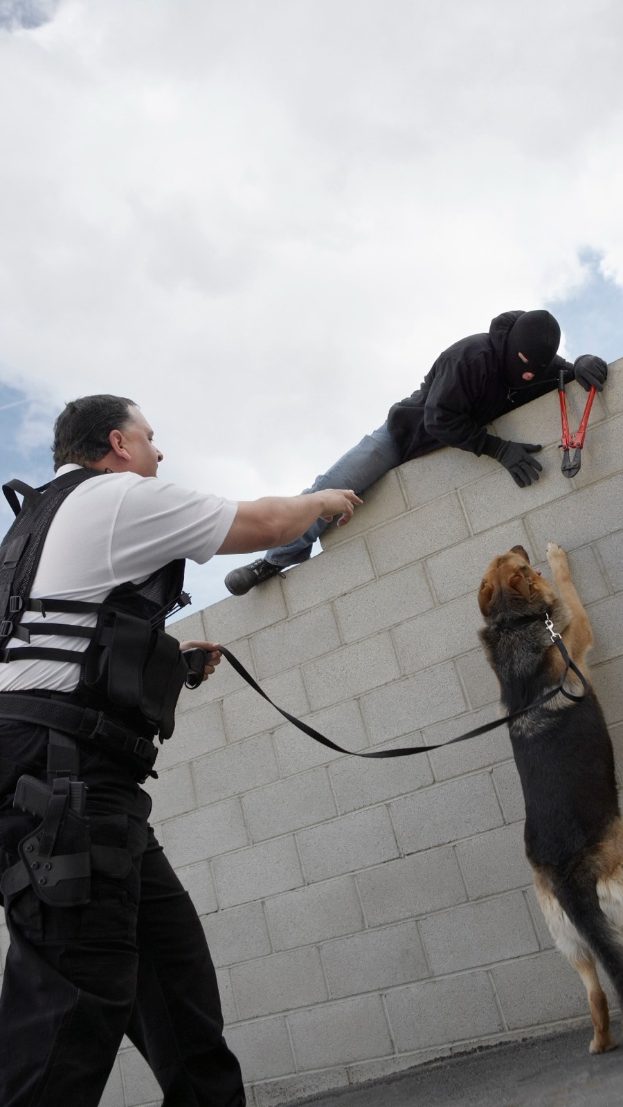 Maître-chien Expert Protect interceptant un intrus escaladant un mur d’enceinte
